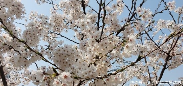 『出钓』人间芳菲四月天,野钓莫忘要防晒!出钓两天四个月的美白成泡影!