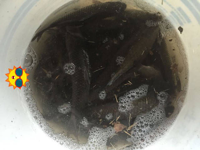  #感觉#钓鱼人的生日自然是要在钓场过的，感觉这生日礼物很棒啊！