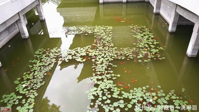 寻访全国重点文物保护单位（37）——大同华严寺