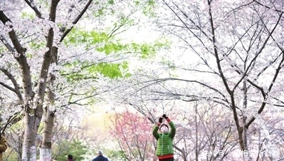  #北京市园#京城处处吐新绿