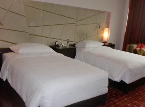 酒店保洁：不管几星级酒店，这“3样”随身携带！住得干净不生病