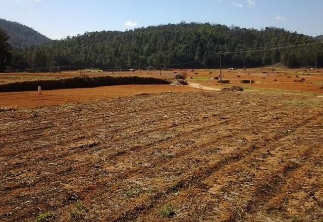 未来在农村，这3种人的日子可能难过了，希望没有你