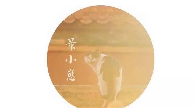 一年 30 多趟故宫，只为拍摄超赞「故宫猫咪图籍」！