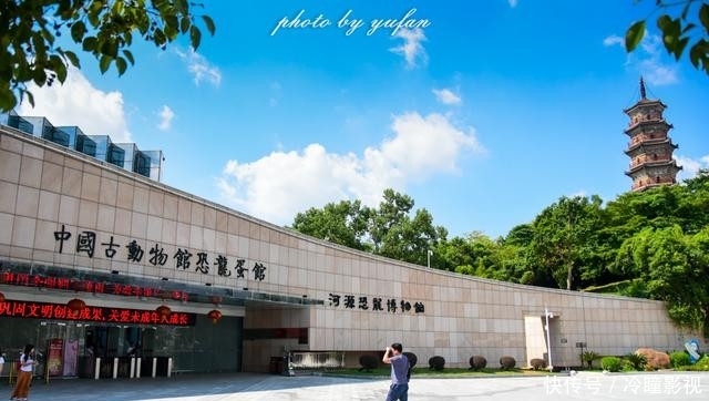  #恐龙蛋化石#世界上恐龙蛋最多的地方竟然就在广东，密密麻麻，