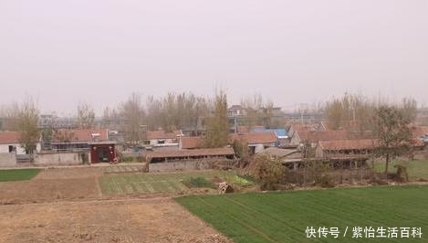  大事■未来三到五年内，这五件大事将影响农村，农民也会受到影