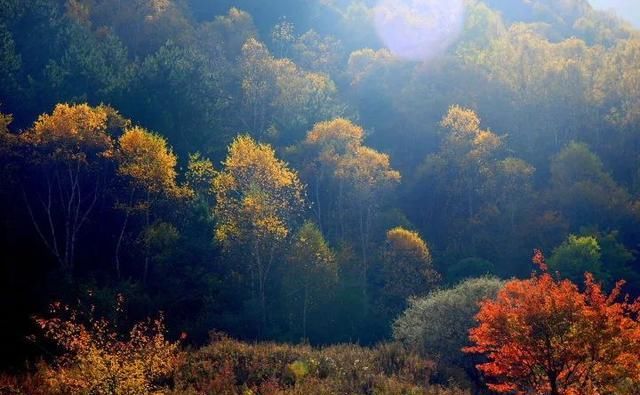 美爆了！山西20处醉美秋景，秋意渐浓一个都不想错过