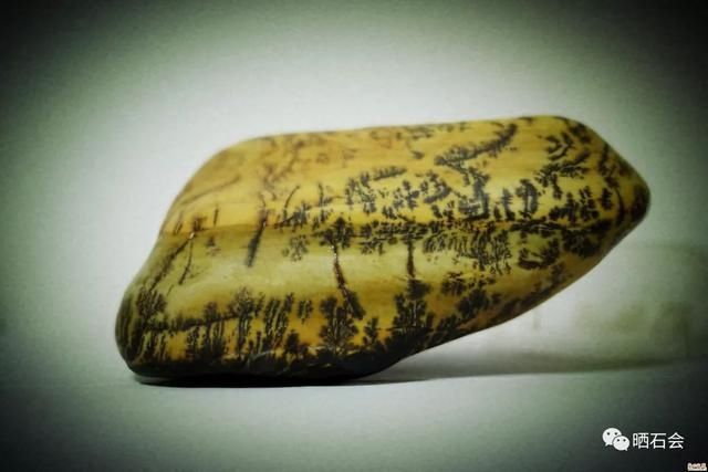 小县城发现的石头,捡来就能卖钱,成为当地人的聚宝盆