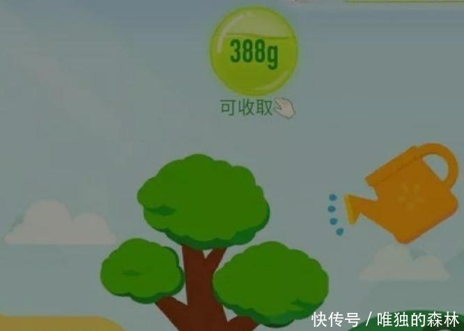 马云2年多前种下的蚂蚁森林，真的改变阿拉善了？还是只是噱头？