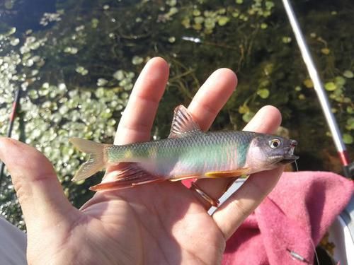 钓鱼嘛，钓的就是个心情，哪怕是我的这种遭遇……