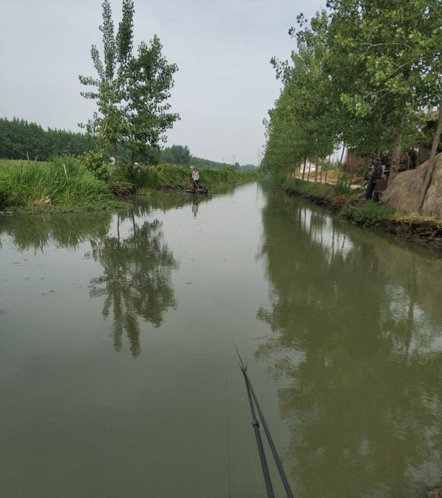 稀巧:正午口稀巧换点,又遇电网肆虐抢鱼忙