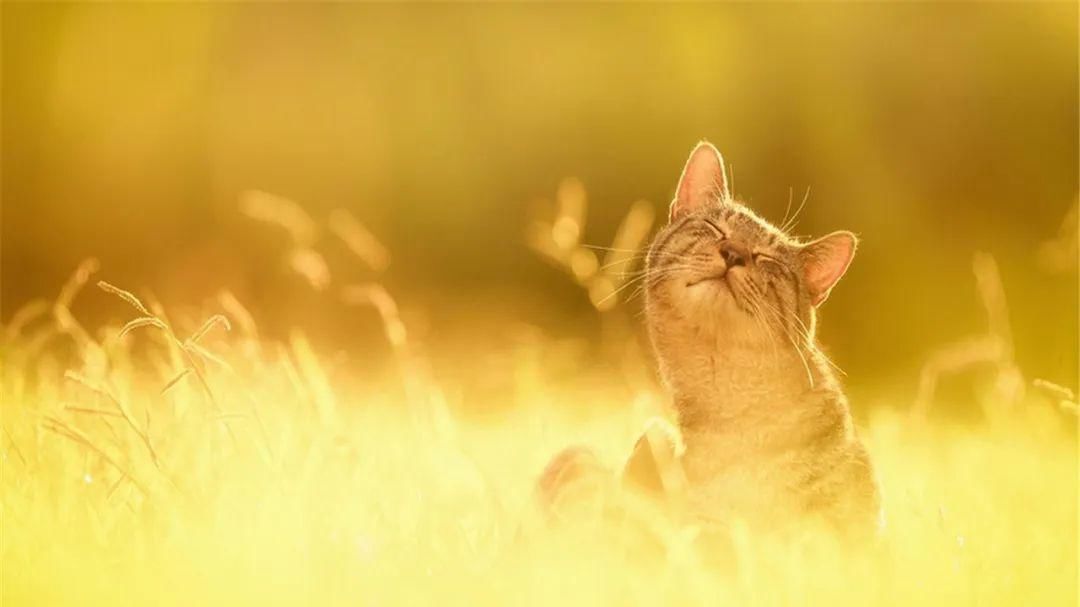 蓝霸屏:除了14日 未来三天都是福州蓝霸屏