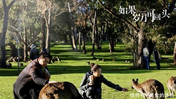 【影级】《如果岁月可回头》深耕“质感生活剧” 影级画质构图精良