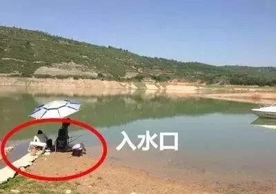 【钓友】野外钓鱼7大黄金钓位！别说老司机没带你，最后一种钓位专出巨物