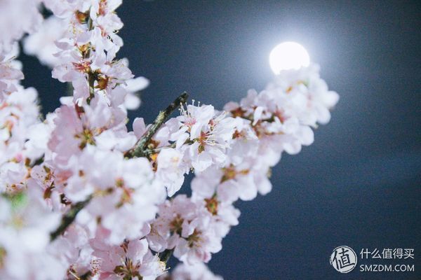 8012年,我的佳能500D和他的朋友们