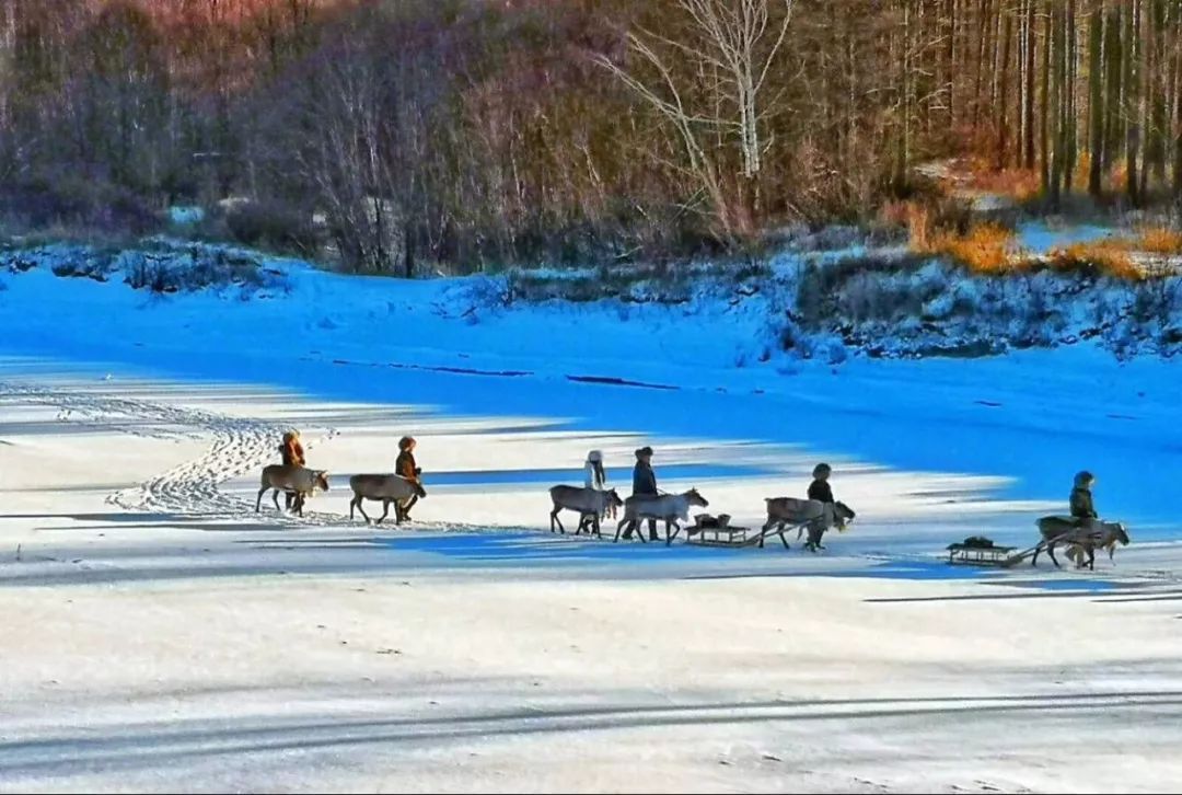 中国最冷的五个地方，最低气温达到零下58度，都在我国哪些地方