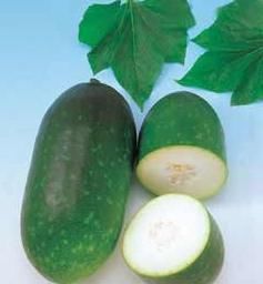 冬瓜藤不值钱,却能降服雀斑黄褐斑,一定要看!