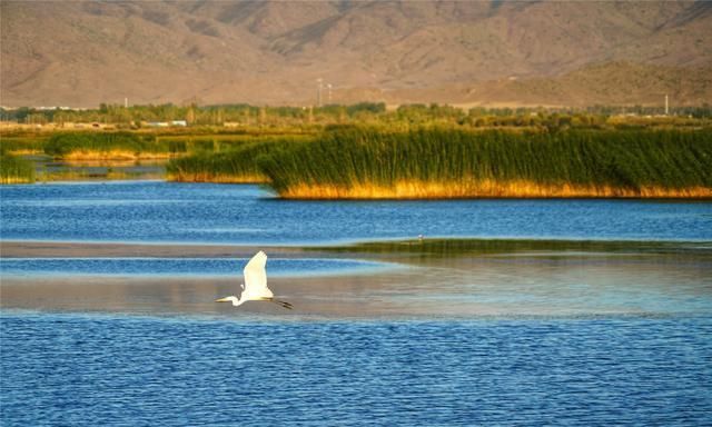 可可苏海：新疆阿尔泰山间的梦幻仙境，如一个蔚蓝色的梦