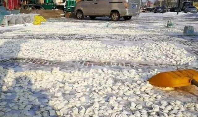 东北旅游发现遍地饺子，大妈捡了满满一袋，结果“摊上事”了!