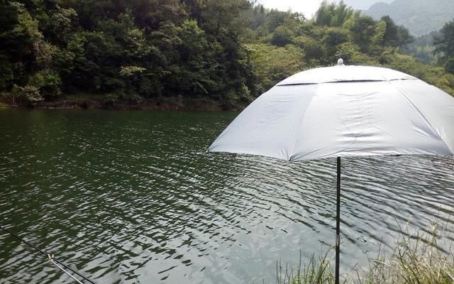  [水域]台钓虽然优势多，但同样也有这些弊端