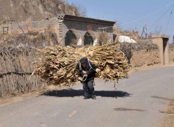 超过45岁还没有缴纳养老保险的，2019年起不用交了，咋养老