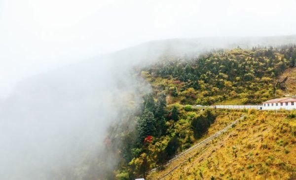 西藏用他的……彻底征服了全世界！