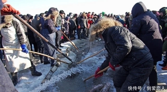 把人工饲养鱼放到湖里,当成野生鱼在景区卖,查干湖的鱼越捞越多