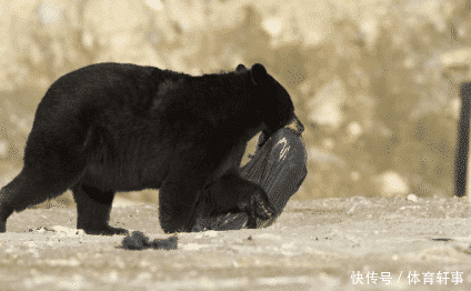 看看这7张照片，人类制造的垃圾到底是如何摧残这颗星球的？