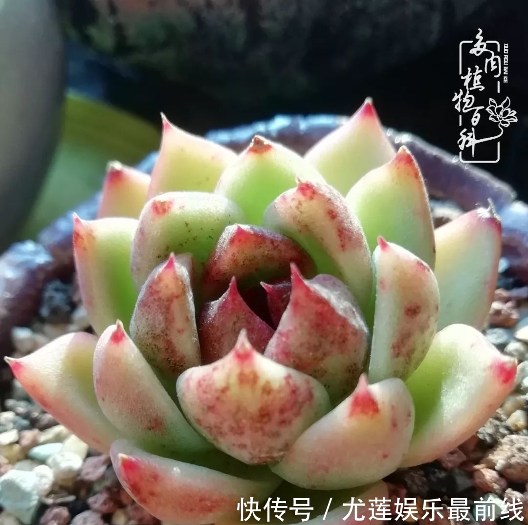  『那种』我爱的，就是你的存在！只要努力该来的都在路上！