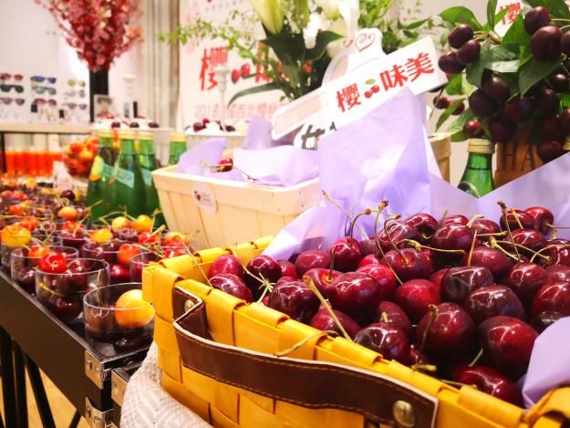 “让美变得更美”，美国西北樱桃与东田造型的跨界美学