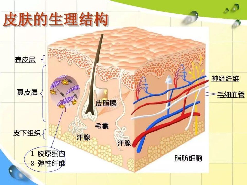 中国人为什么不喜欢涂防晒霜?