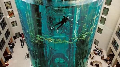 全球最“大”的鱼缸，耗资近1亿人民币，被建在酒店中