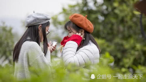  『小黑』出门春游要小心，谨防这种小黑虫，或可夺命