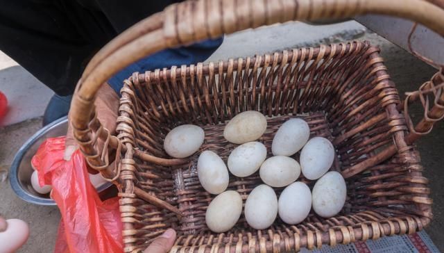  「路边」75岁老人走9里山路卖鹅蛋，6元一个无人问津，蹲在路边