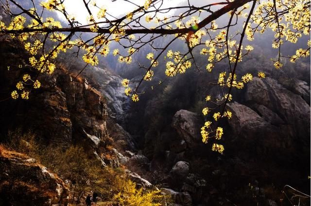 河南这个遗落在深山峡谷中的村落，古朴幽静像世外仙境