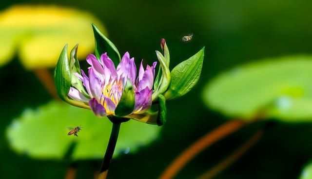  「十全十美」2019退休族新标准，你达标了吗？