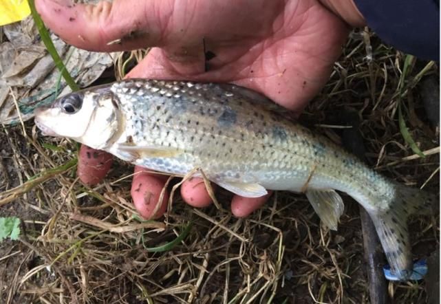  『鱼都钓不到』钓不到鱼就怪资源不好？之所以十钓九空，其实是这些原因造成的