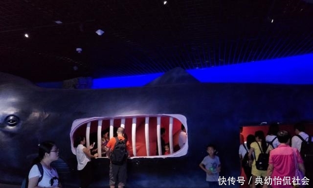 无需舍近求远，在福州也能看到海洋巨大生物的骨骼标本
