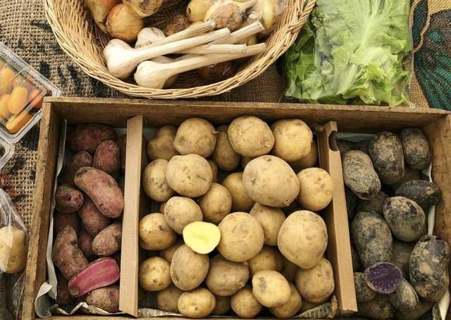 「冰箱」冰箱就是这样用的,保鲜时间是原来的两倍!你不必每天都买蔬菜。你也可以每天吃新鲜蔬菜