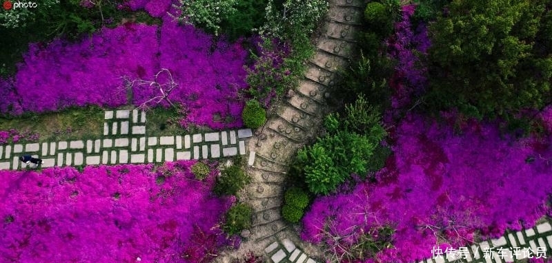 山东一景区免费赠游客空中飞行！氦气球破裂，致3岁幼儿母子坠亡