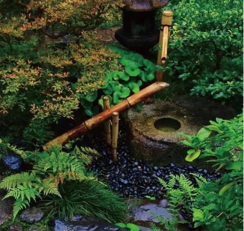 最小的庭院！超美超意境，有仙境的感觉