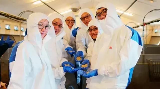 4000万猪农危机了!全球最大猪企杀入中国，这种打法让大家服了