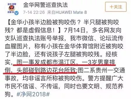 有组织造谣狗咬伤小孩儿,这个锅决不能背!
