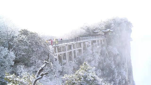 张家界天门山迎今冬首雪 瑞雪、雾凇、云海三景交融