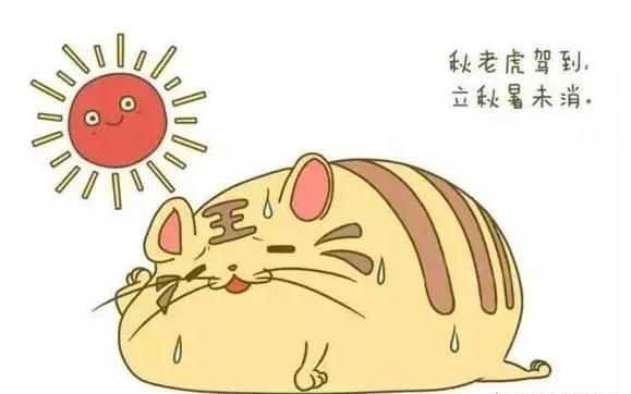 三伏天结束了，处暑将至，后面还热吗？今年会有秋老虎吗？