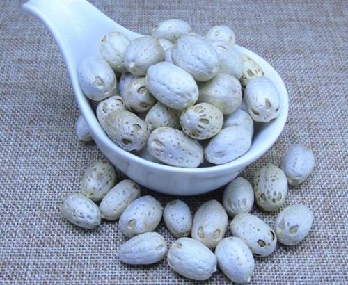 农村一种树能长20米，俗称“五眼果”，价值上百，产量巨大！