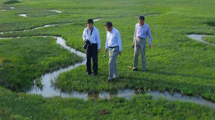 全世界最窄的河流！鱼挤着游过去，放本书就能当桥