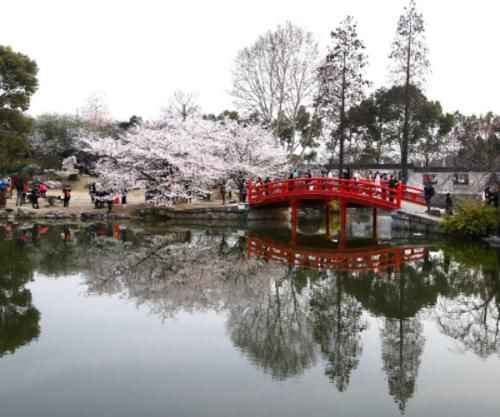 中国最有前途的4座旅游城市，不仅生活指数高，很多景区都免费