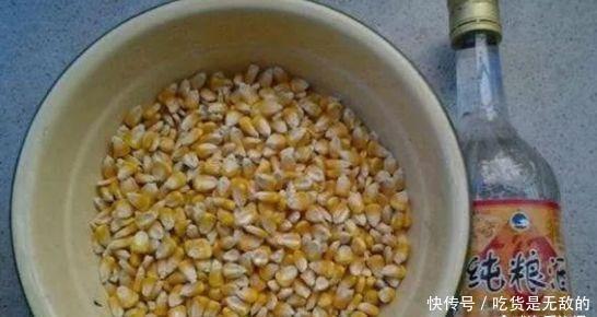 渔具店买|鲤鱼饵不要买,自己在家就能做,1分钟能学会,让你钓1次忘不掉