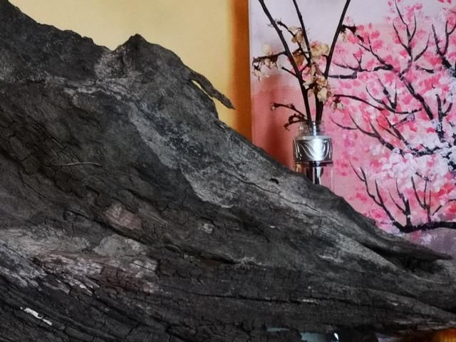 行走川藏线走西藏，看藏区家庭宾馆是啥样，内地人也应学习