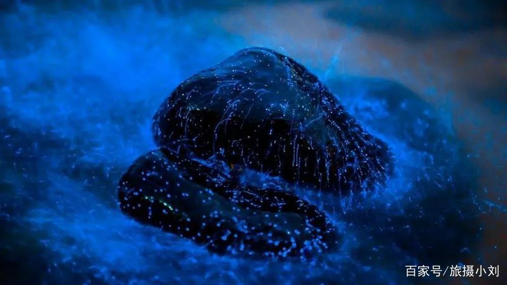  「游客」倒计时8天！清明小长假这13条小众宝藏线路，景色好，游客少！